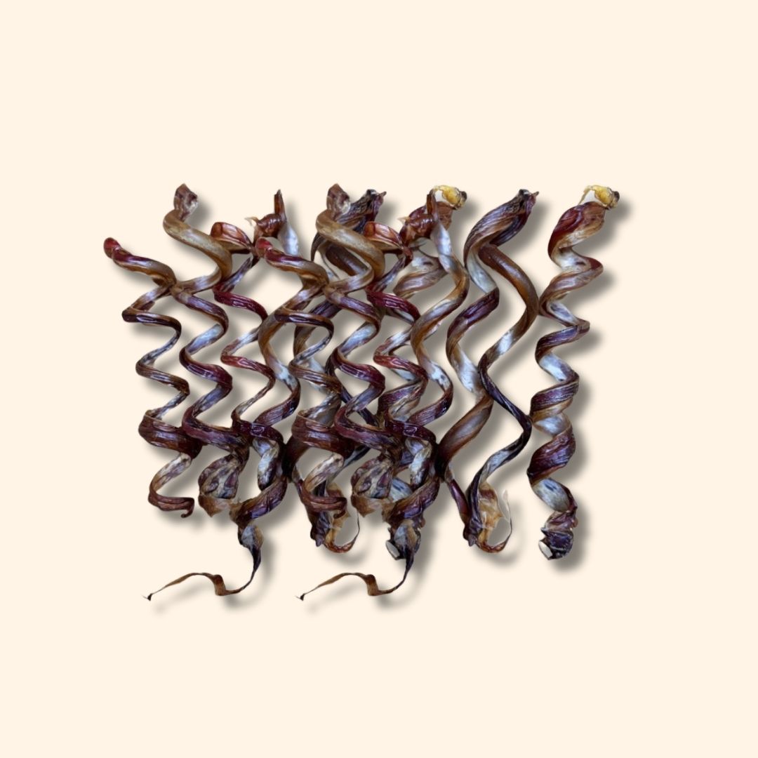 Pork Pizzle Spiral 10 Pack