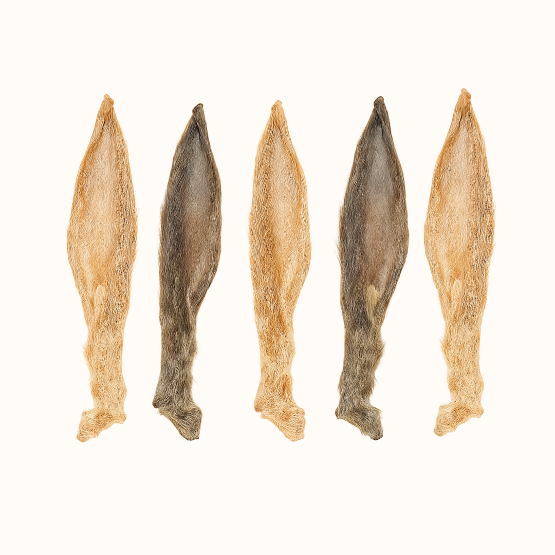 Rabbit Ear with Hair