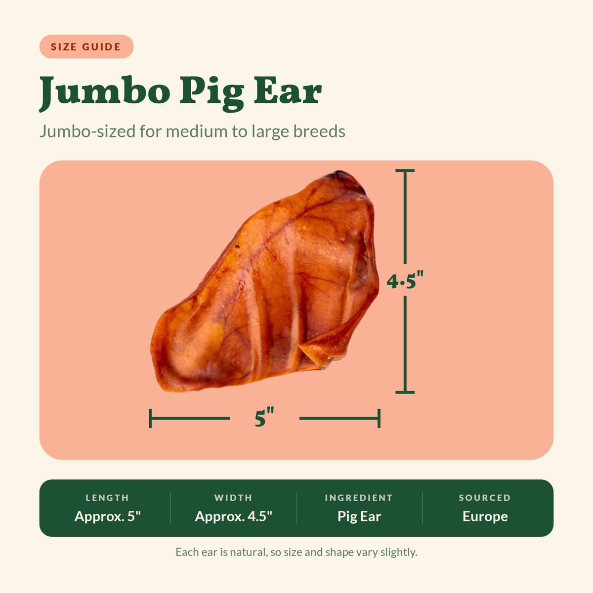 Jumbo European Pig Ears