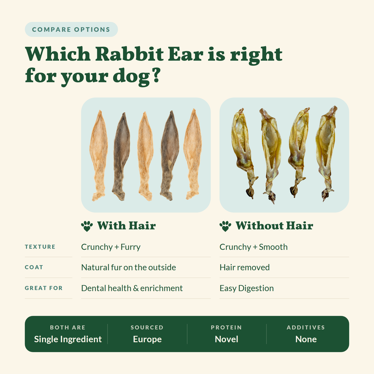 Rabbit Ear without Hair