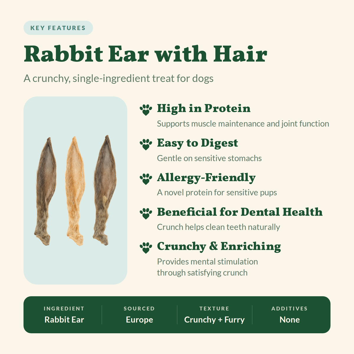 Rabbit Ear with Hair