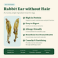 Rabbit Ear without Hair