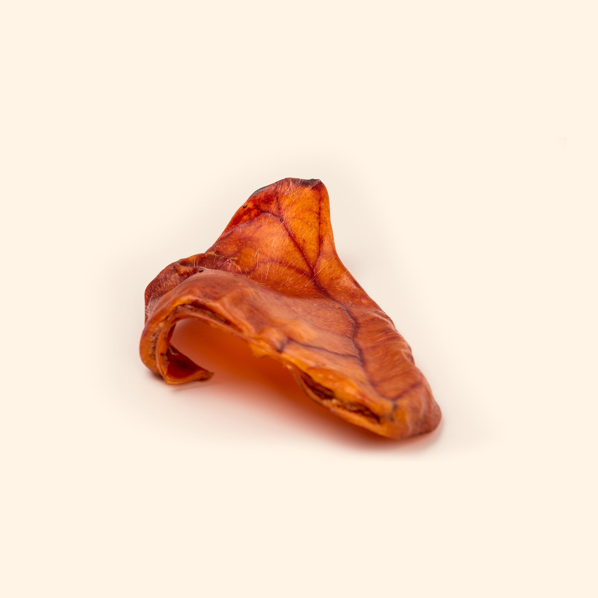 Single jumbo pig ear – all-natural 100% pork large dog chew | Purposeful Pup